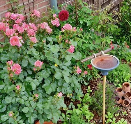 Blockhaus Gnarrenburg