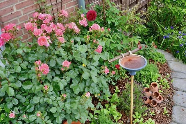 Blockhaus Gnarrenburg