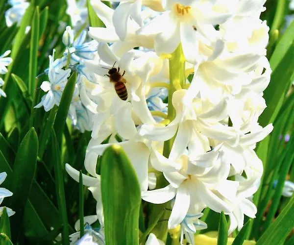 Blockhaus * Gnarrenburg
